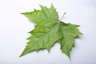 《剑星》发售三天PC版销量超100万 PC＆PS5累计销量超300万